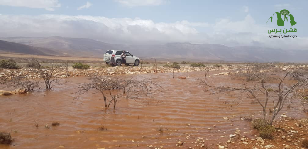 توقعات بهطول أمطار متفرقة على السواحل الجنوبية والشرقية